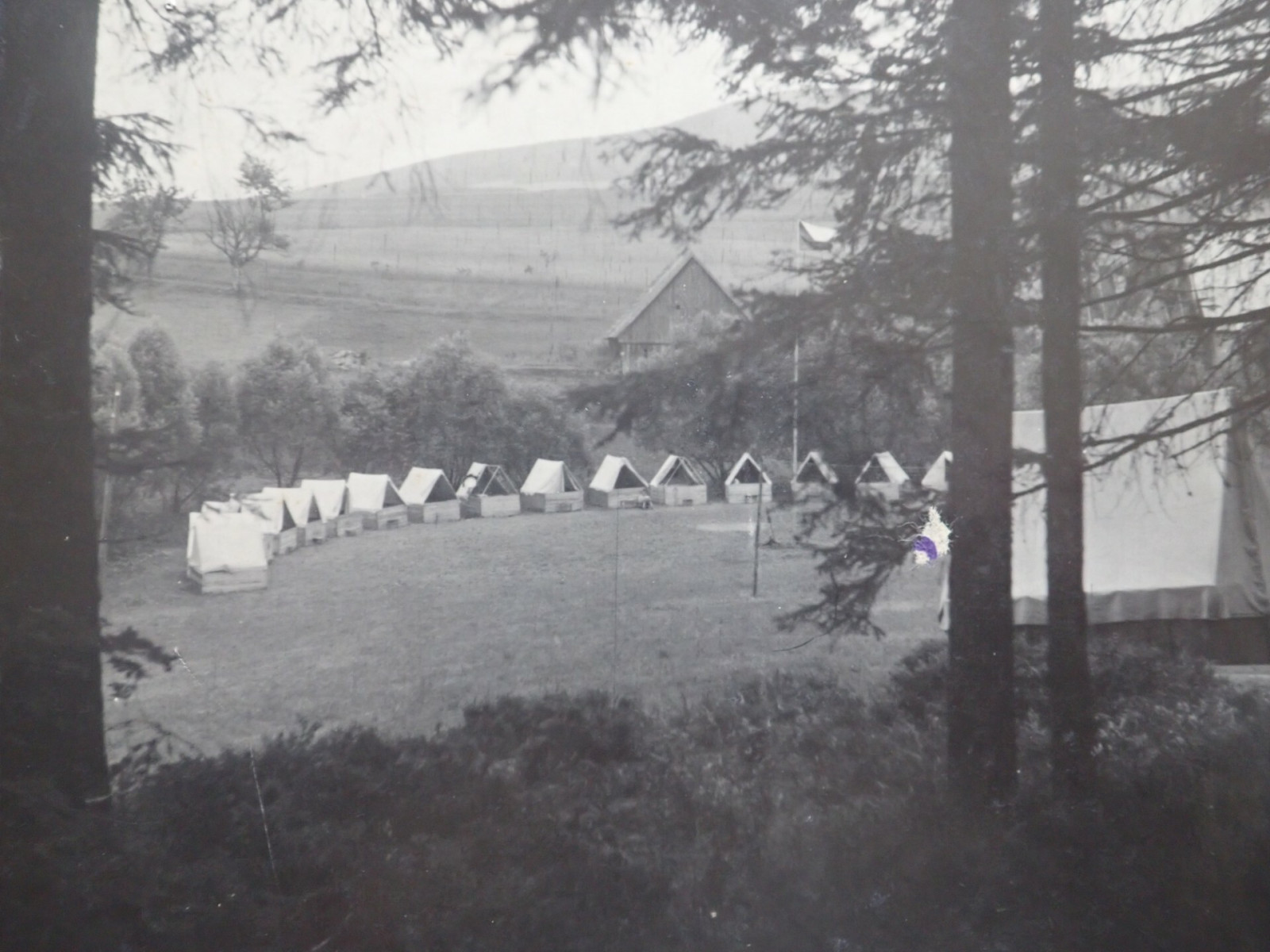 Tbor skautek v Jedlov v Orlickch horch v roce 1947